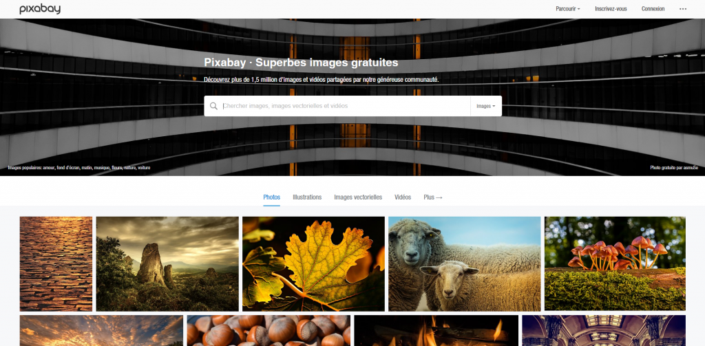 capture d'ecran de pixabay
